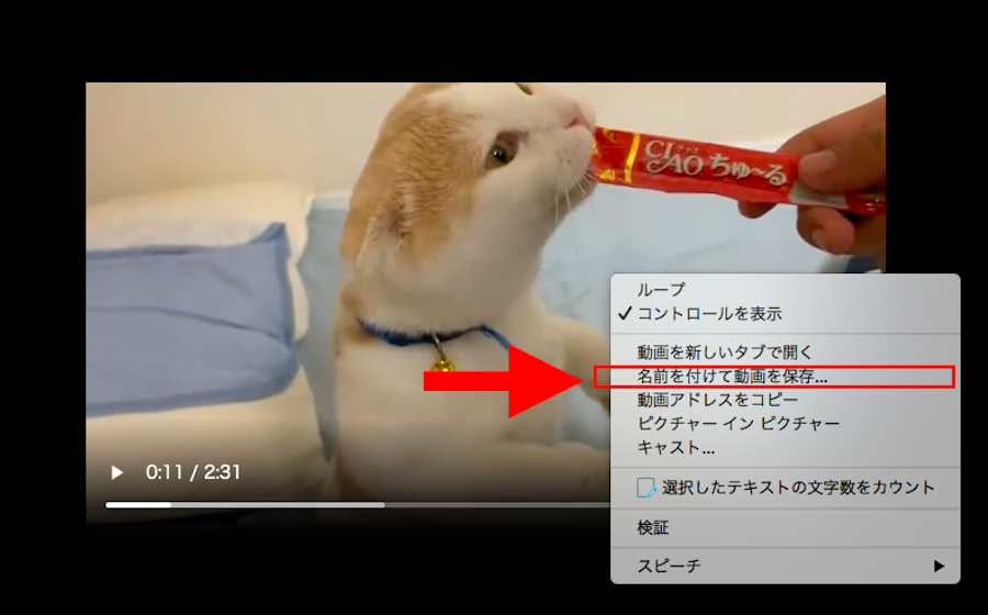 名前をつけて保存